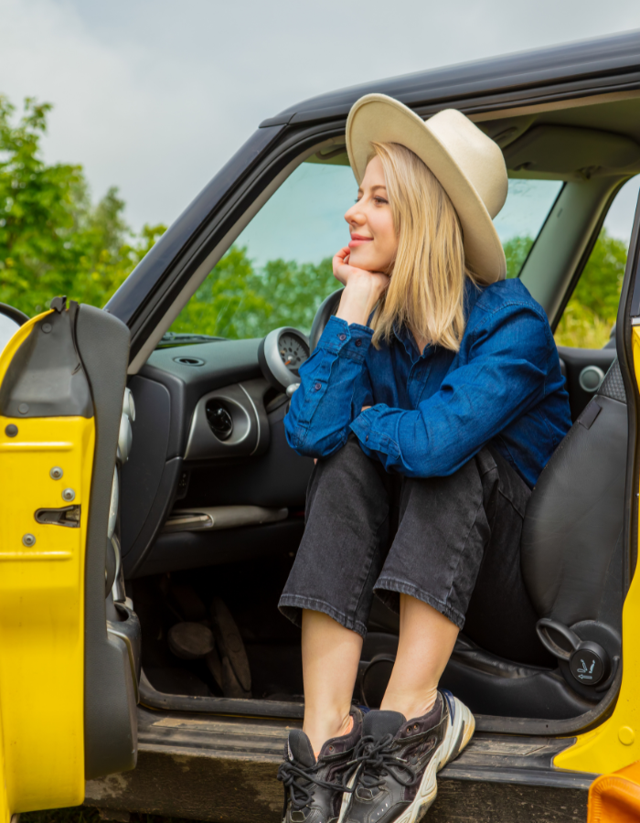 licence disc renewal